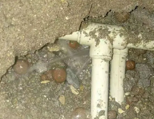 双柏卫生间测漏
