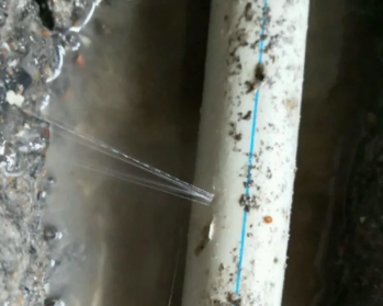 双柏卫生间测漏水多少钱
