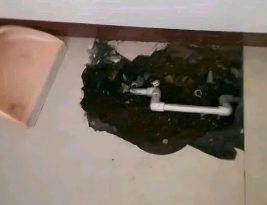 双柏卫生间测漏水多少钱