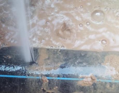 双柏卫生间防水哪家好